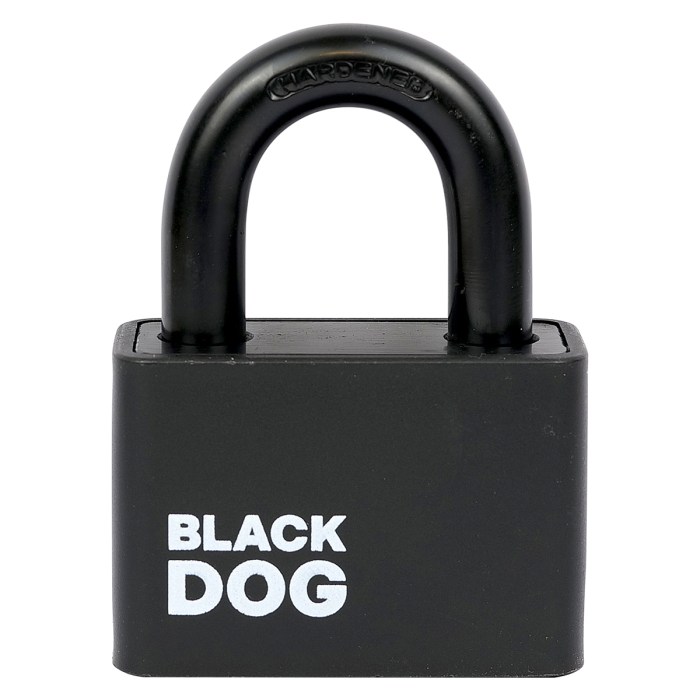 ocelový visací zámek RV.BLACKDOG.50